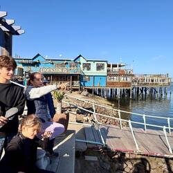 Walvis bay