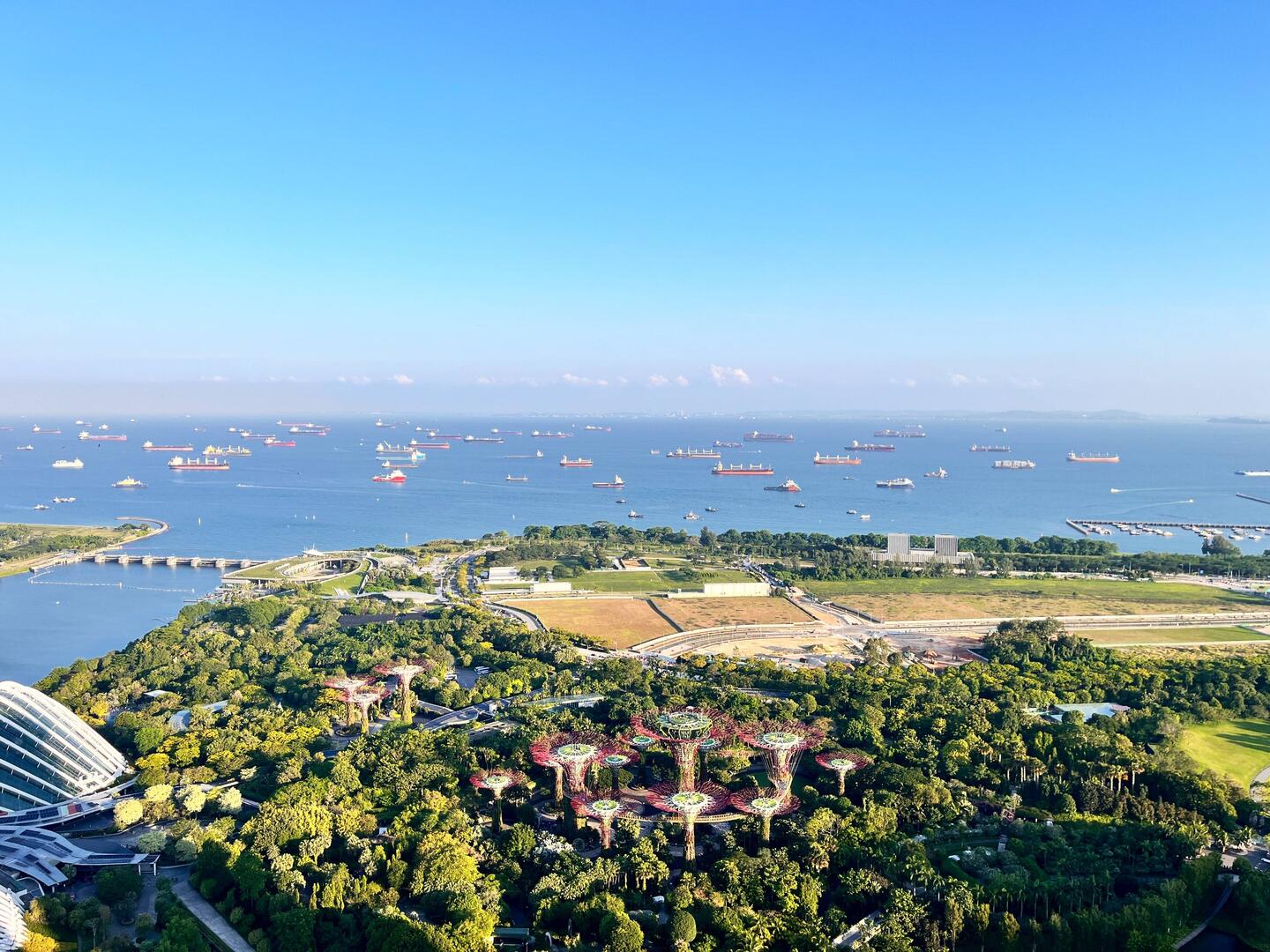 Blick auf die Supertrees