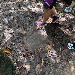 Originele grootte van een ingang