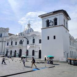 Catedral