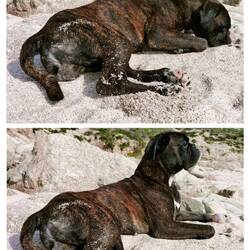 Aus dem Tiefschlaf gerissen