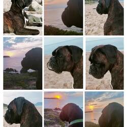 Hübscher Kerl - heute Mal Foto willig