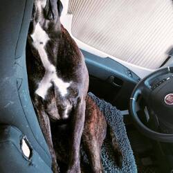 Gestern wohl zu lange gefeiert - schlafen wann & wo man kann