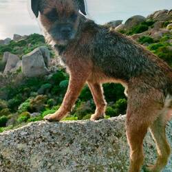 Wenn der große Bruder schlafen muss - schwindelfrei