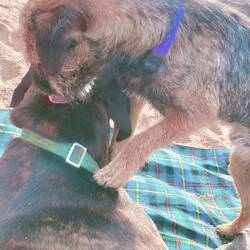 Voller Körpereinsatz