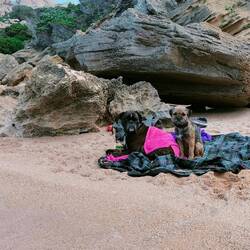 Sooo müde & die 🦆 kommt Mal wieder nicht zur Ruhe