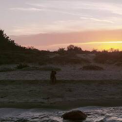 Jemand hat keinen Bock mehr auf Sommerurlaub