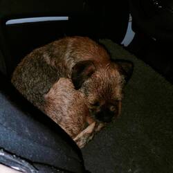 Schlafplatz -Wechsel