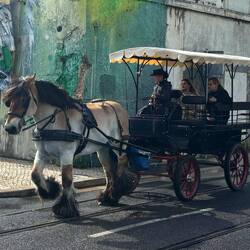 All forms of transport