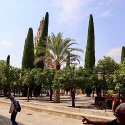 The gardens of the Mosque-Cathedral