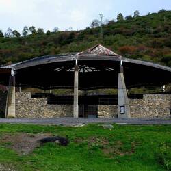 Pinocchio und die Lucha Halle