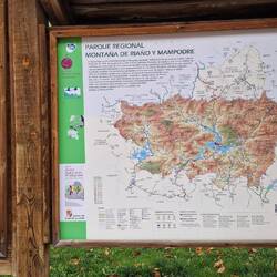 Der Bär und die Karte