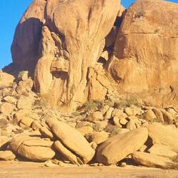 Elephant Nest