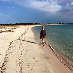 A walk on the quiet side