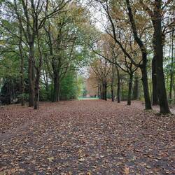 Alter Weg zwischen beiden Mühlen