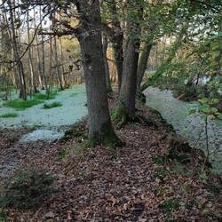 Links und rechts Wasser, Moor und sportliche Herausforderungen