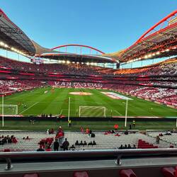 Estadio de Luz, Benfica