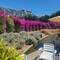 Bougainvillea display at Southbank