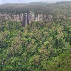 Twin Falls Springbrook National Park
