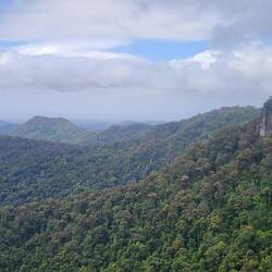 Springbrook National Park from lookout