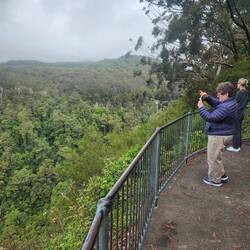 Purling Brook Falls, Springbrook National Park