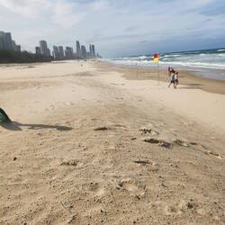 Gold Coast skyline from Broadbeech
