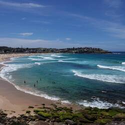 Bondi Beach