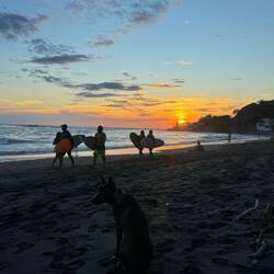 sunsets