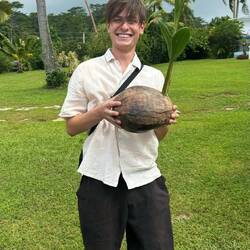 Neu wachsende Kokosnusspalme