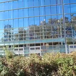 Vorbei am Europa-Parlament ...