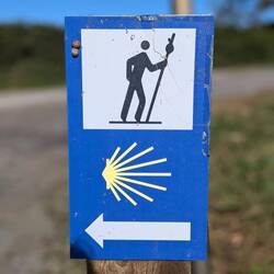 Camino