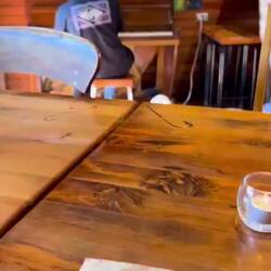 Heute mit Live-Musik