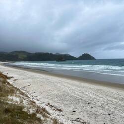 Whangapoua Beach