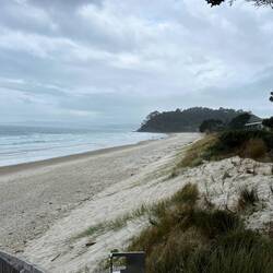 Whangapoua Beach