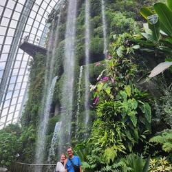 Entering the Cloud Forest