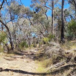 Warby Ovens National Park, Sunrise Trail