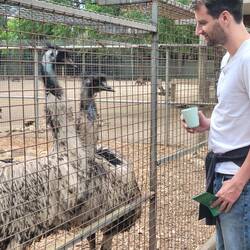 Emu's
