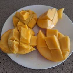 ....und natürlich noch mal Mango....🥰...ich werde sie vermissen