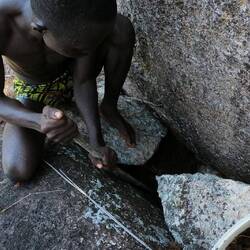 Insekten als Nützlinge für das BioCamp