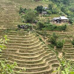 Auf der heutigen Fahrt kommen wir an zahlreichen und faszinierenden Reisfeldern vorbei