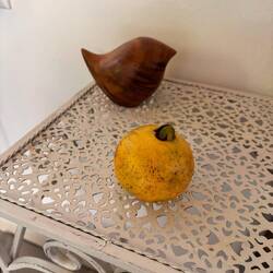 das ist eine Cas, wurde zu erfrischender Limonade 🥤