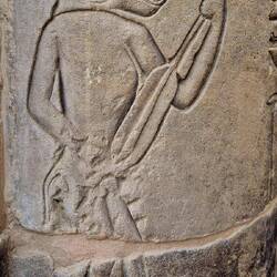 Musizierender Pavian