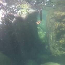 Schnorcheln mit Emmanuel