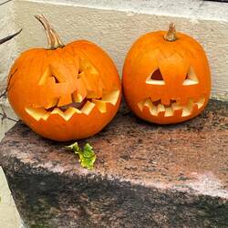 Halloween approaches - lots of pumpkins on doorsteps and in windows