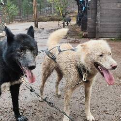 Karhu und Jolua nach der zweiten Runde🙈