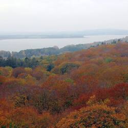 Blick vom Aussichtsturm