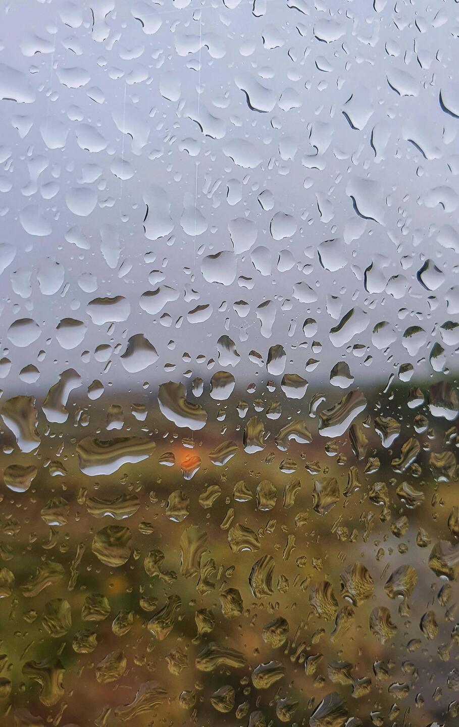 🌧 Rainyday ☔️