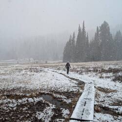 Alexis, walking a lonely winter path.