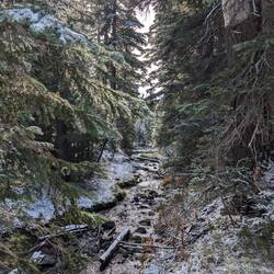 On the path to Todd Lake