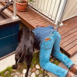 Er ist endgültig weg.